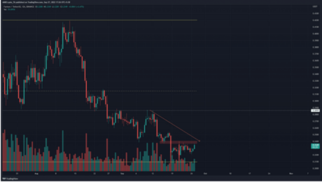 Fantom Surprises With 5% Rally In Last 24 Hours – More Gains Ahead?