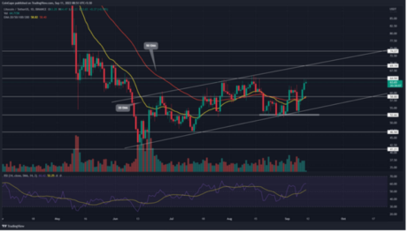 How Litecoin (LTC) Is Able To Muster A 5-Day Straight Rally