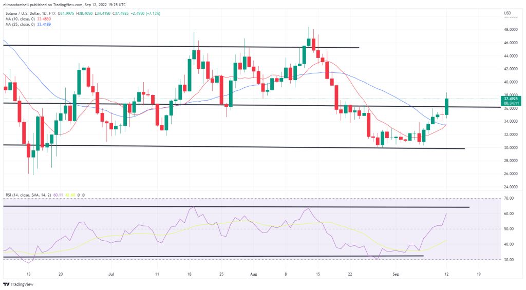 Biggest Movers: SOL, Near Protocol up by Over 10% to Start the Week