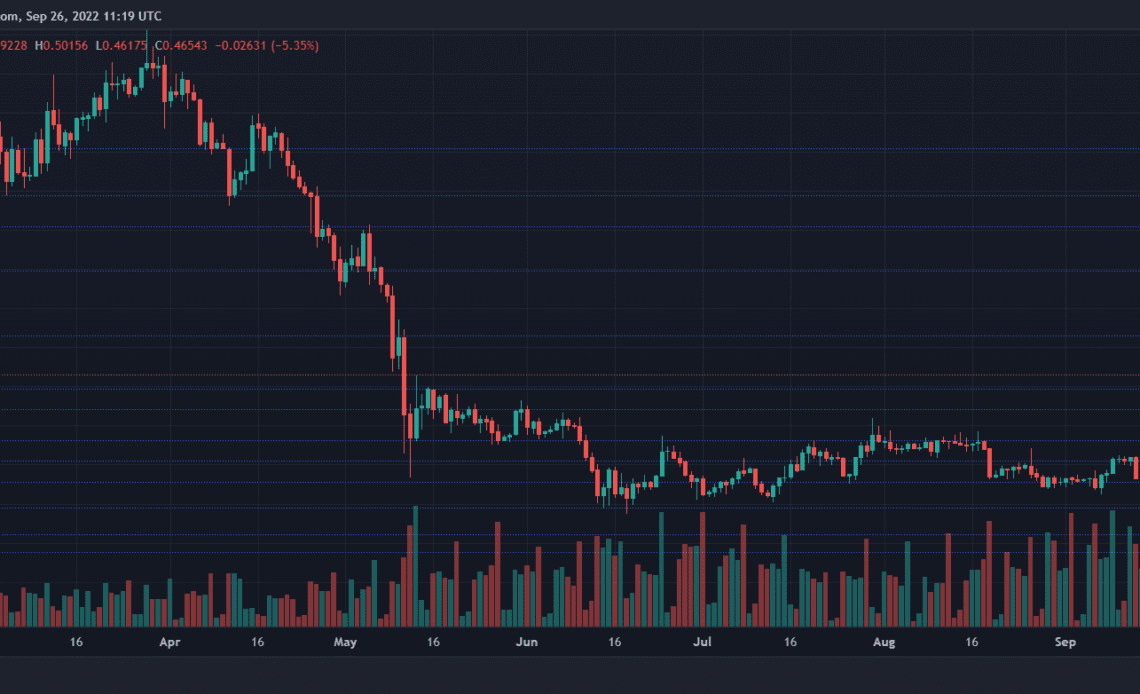 XRP Price