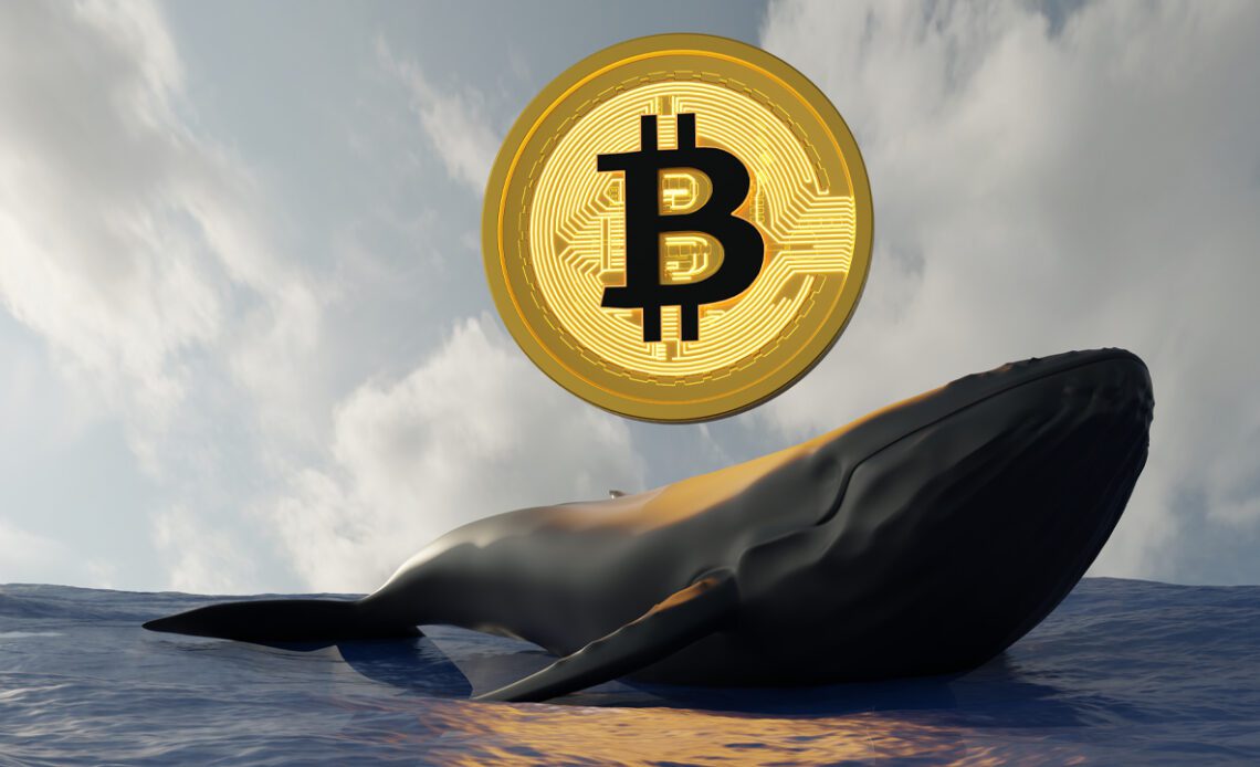 BTC Whale Transfers $940 Million out of Coinbase — 3 Batches of 'Sleeping Bitcoins' From 2011 Move