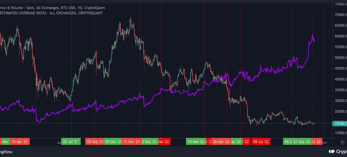 Bitcoin Leverage Ratio