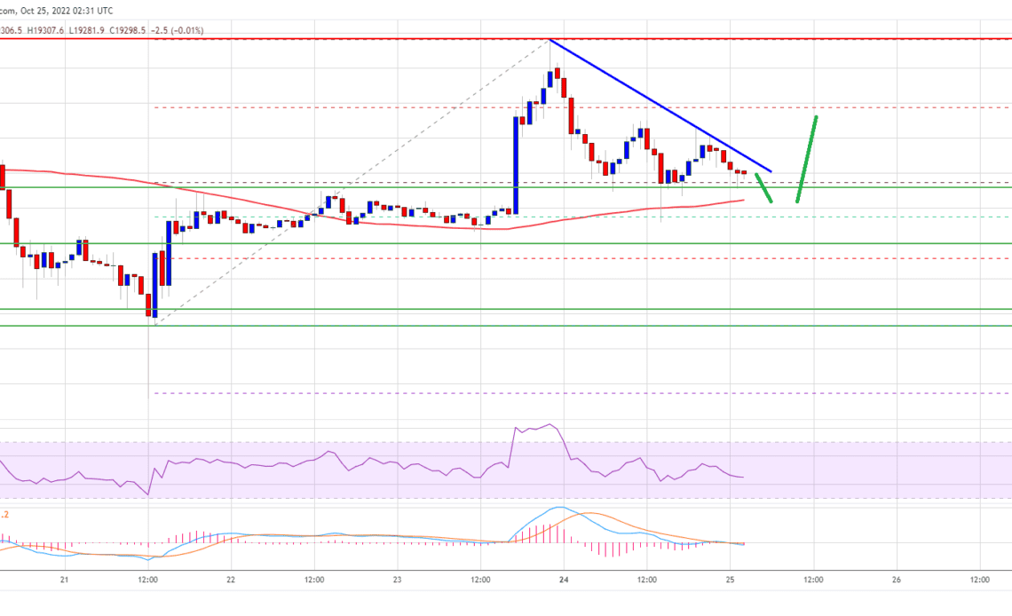 Bitcoin Price