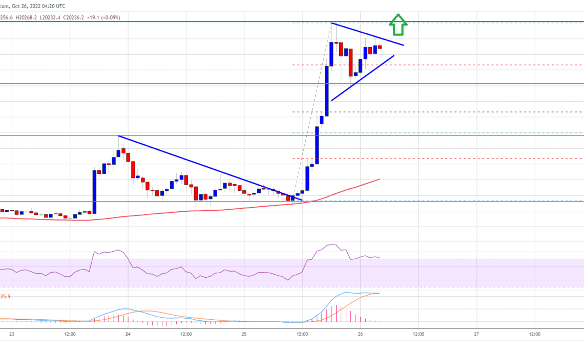 Bitcoin Price