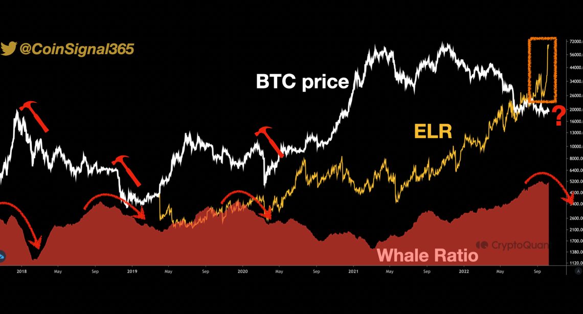 Bitcoin Exchange Whale Ratio