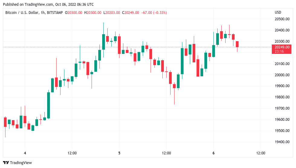 Bitcoin beats out shorts as BTC price attempts to crack $20.5K