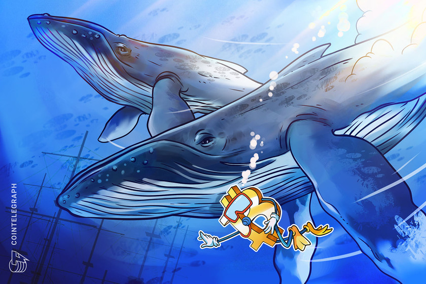 Bitcoin eyes 'textbook' bottom as $16K whale cost basis comes into play