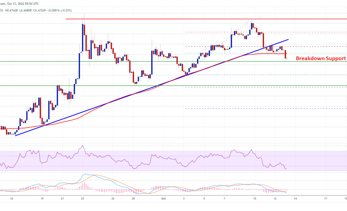 Ripple's XRP Price Chart