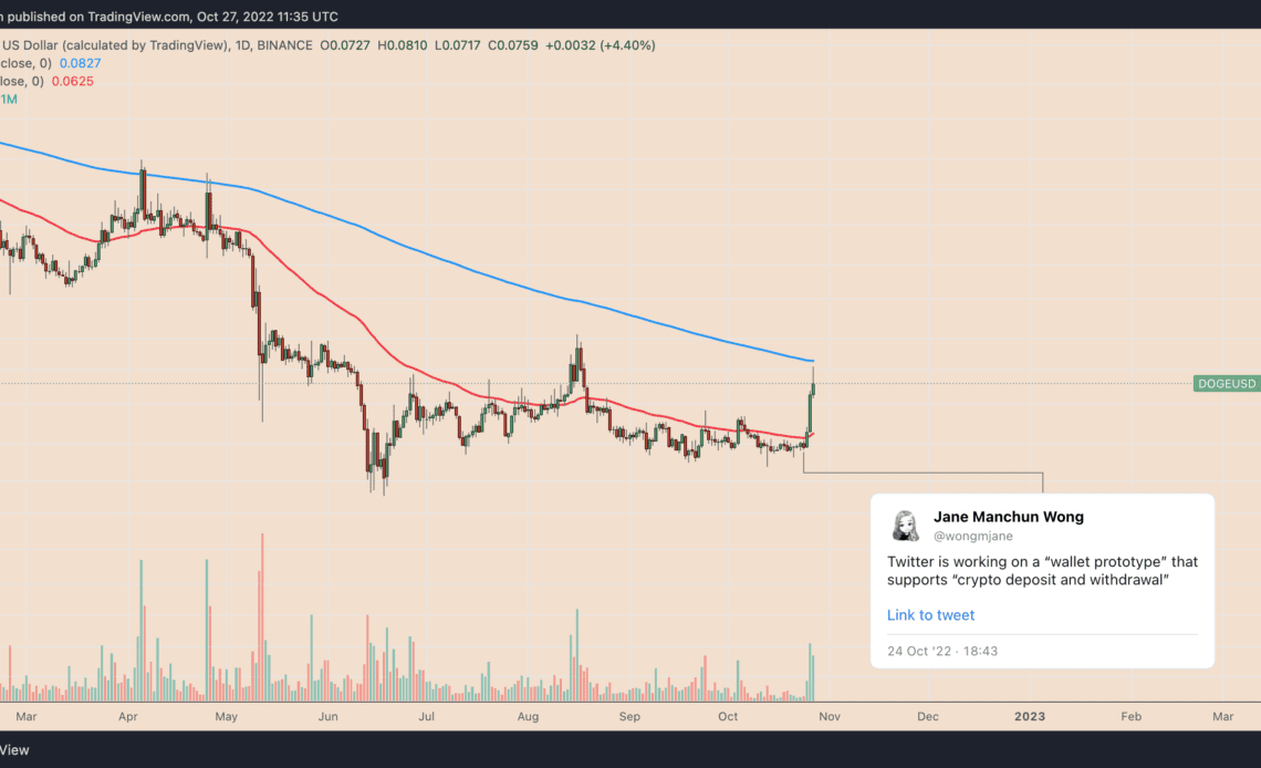 Dogecoin price jumps 40% on Elon Musk, Twitter's crypto wallet rumors