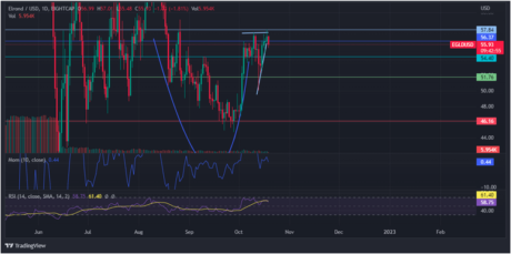 Elrond (EGLD) Coin Looks To Break Past The $55 Resistance Line