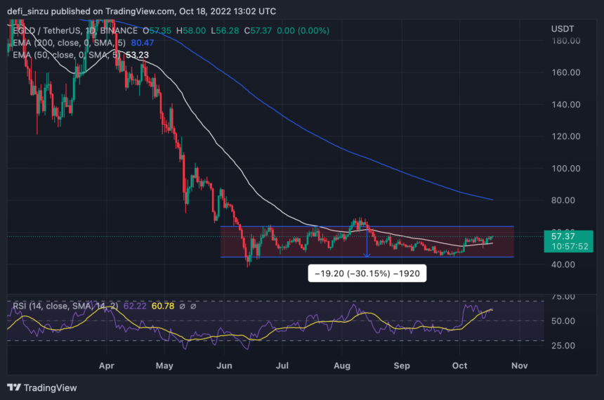 Elrond (EGLD) Will Rally To $80, But this Must First Happen