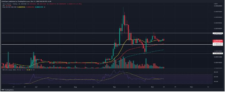 Terra Classic (LUNC) Notches 5% Spike In The Last 24 Hours