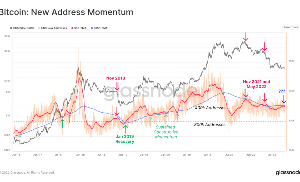 Bitcoin New Address Momentum