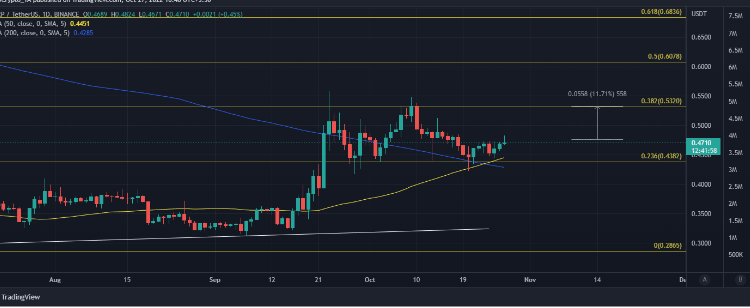 Why XRP Holders Should Check These Data In The Coming Days