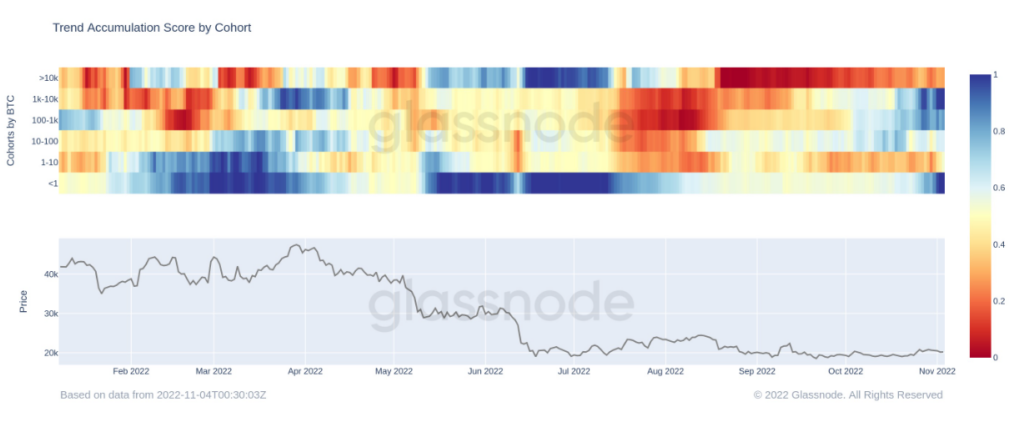 btc accumulation trend score