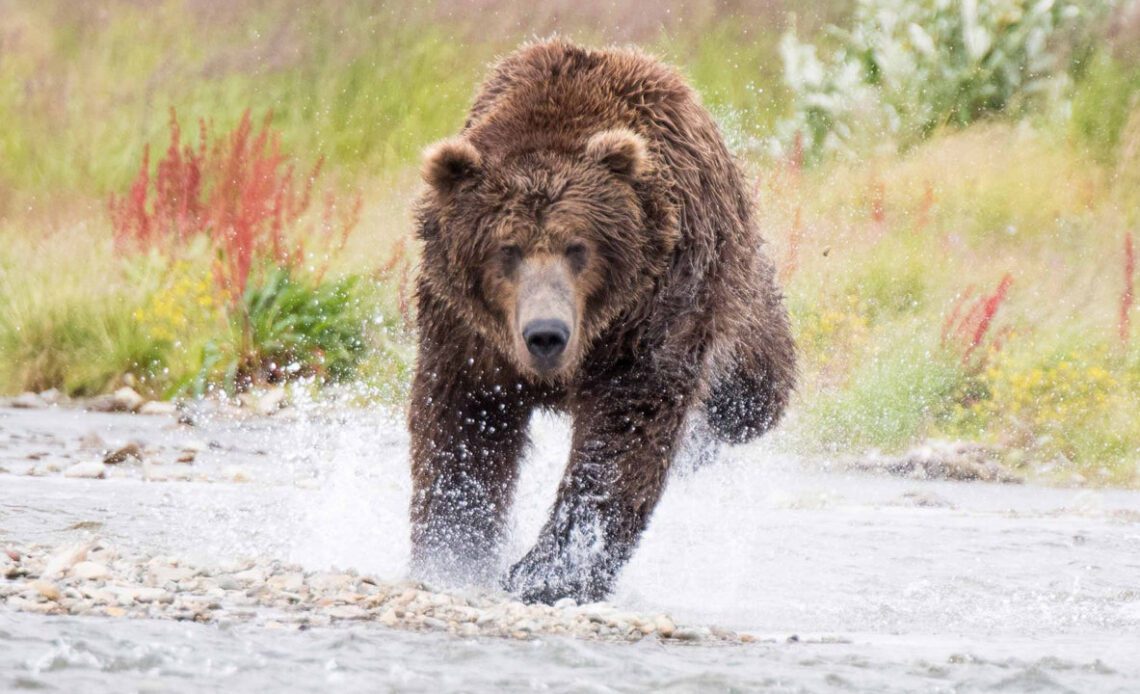 After More Than 380 Days, Crypto Supporters Celebrate Surviving the Second-Longest Bitcoin Bear Market