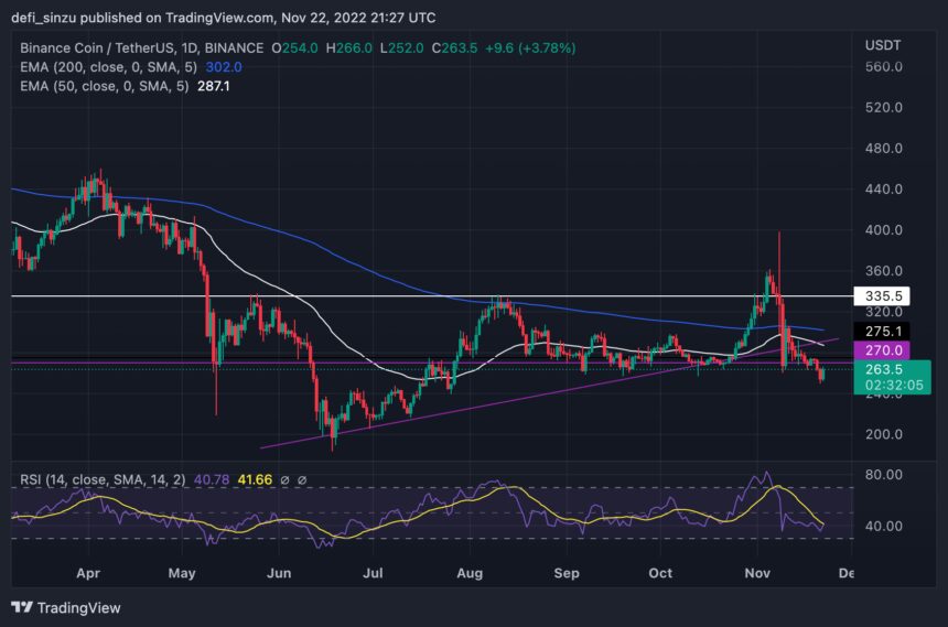 Binance Coin Loses $270 Support As Bears Eye $200; Will Bears Push Harder?