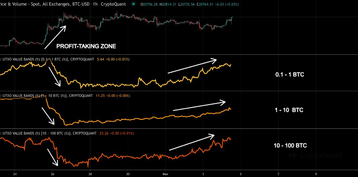 Bitcoin Whale Accumulation