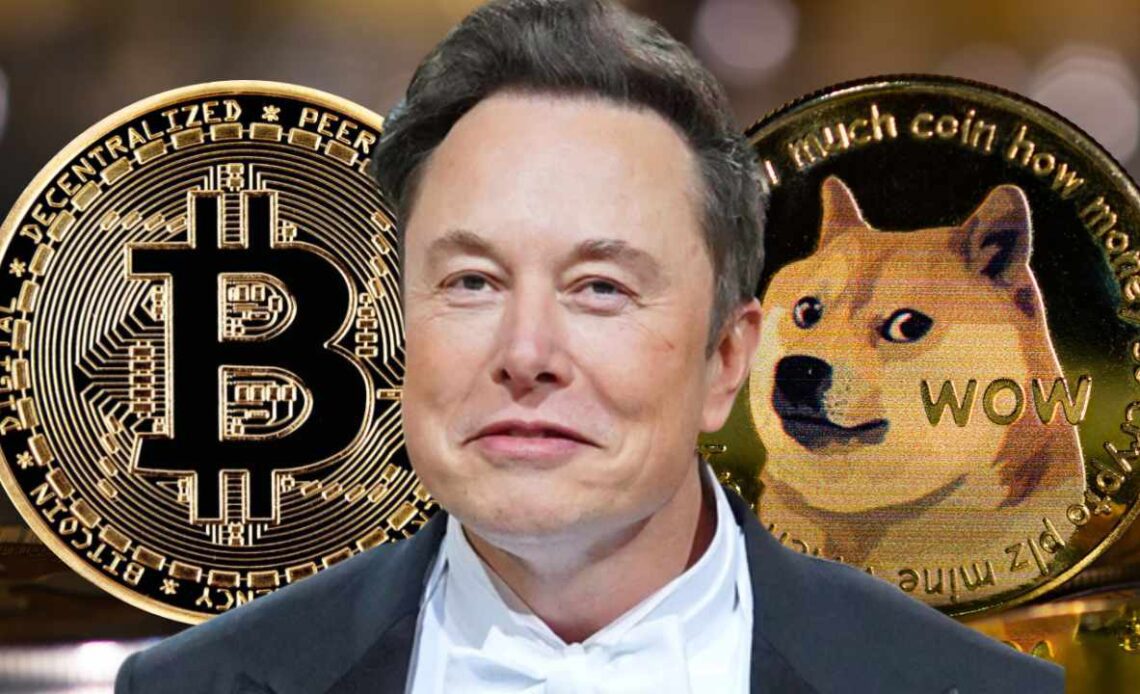 Elon Musk: Bitcoin Will Make It, Dogecoin to the Moon