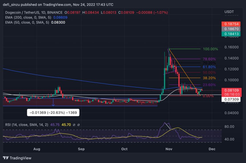 Dogecoin Holds $0.08 Against All Odds; Here is Why This Will Favor DOGE Army