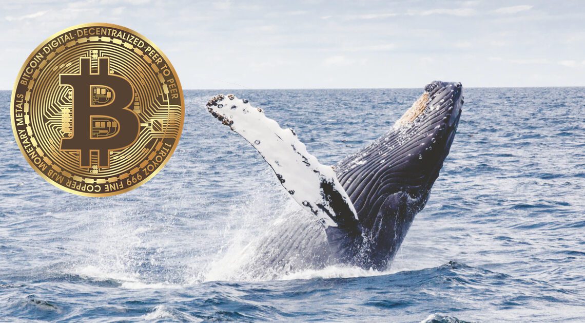 Bitcoin whale FTX