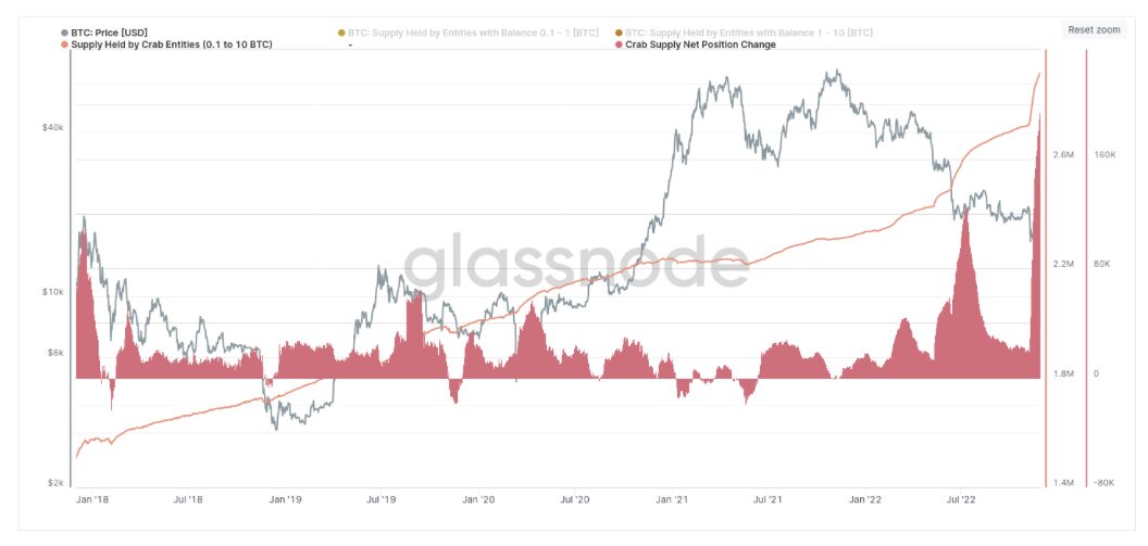 Non-whale Bitcoin investors break new BTC accumulation record