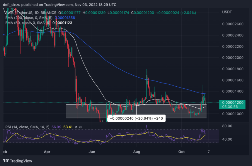 Shiba Inu Struggle Continues As Altcoins Rally With Over 70% Gain; Here Is Why