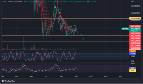 VeChain (VET) is now undergoing some promising developments.