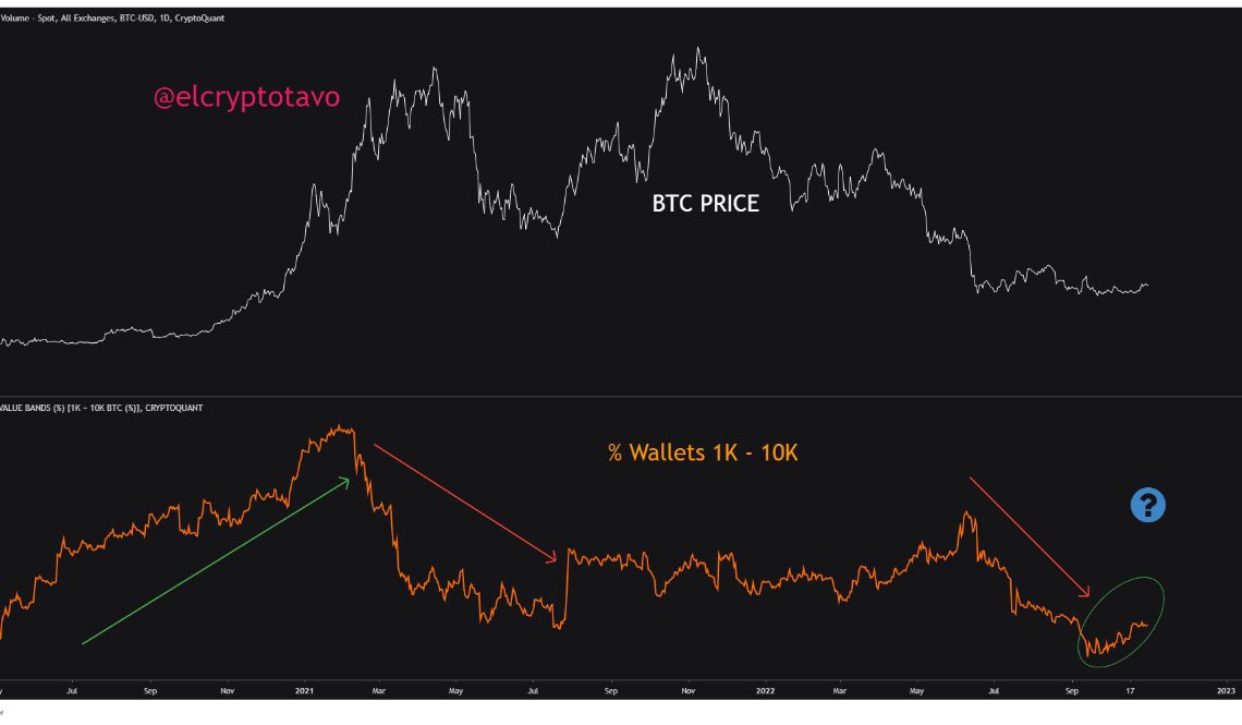 Bitcoin Whales Accumulation