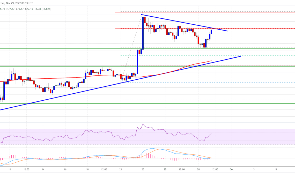 Litecoin Price Outperforms Bitcoin