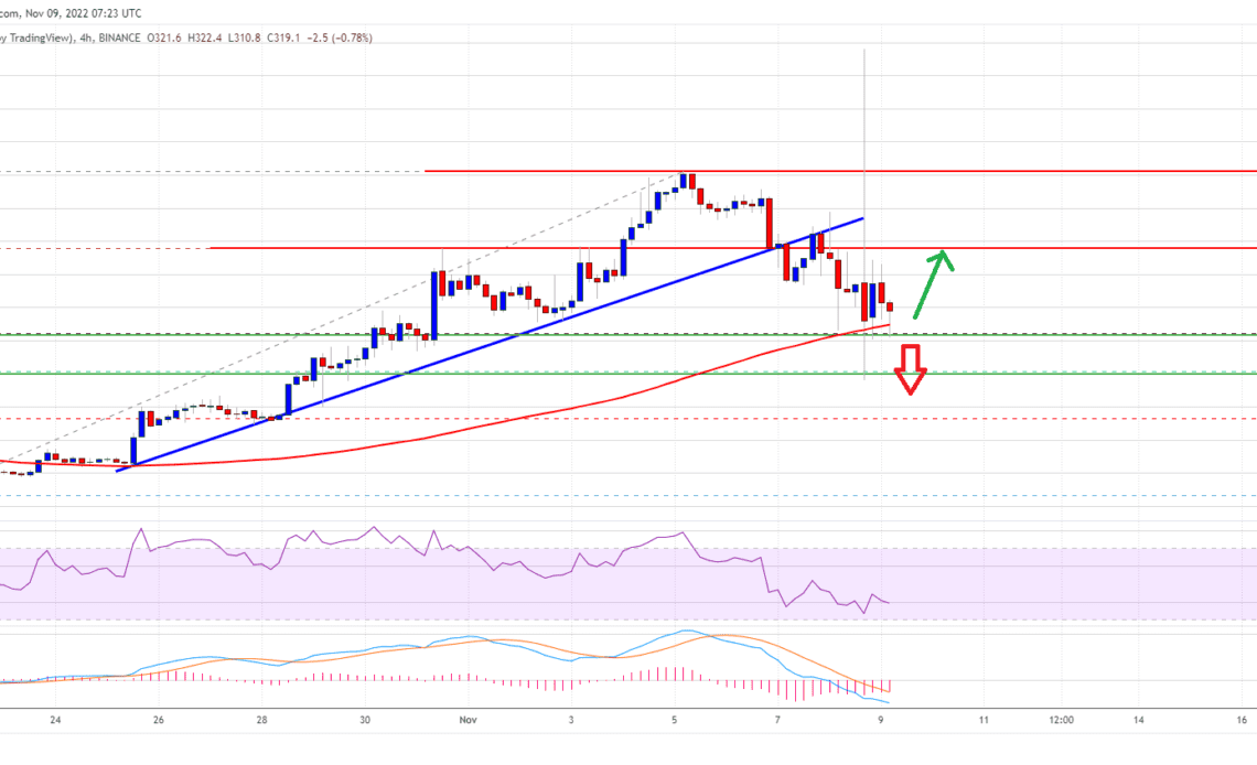 Binance Coin Price