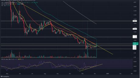 Axie Infinity (AXS) Price Is On A Tear With 22% Spike Today