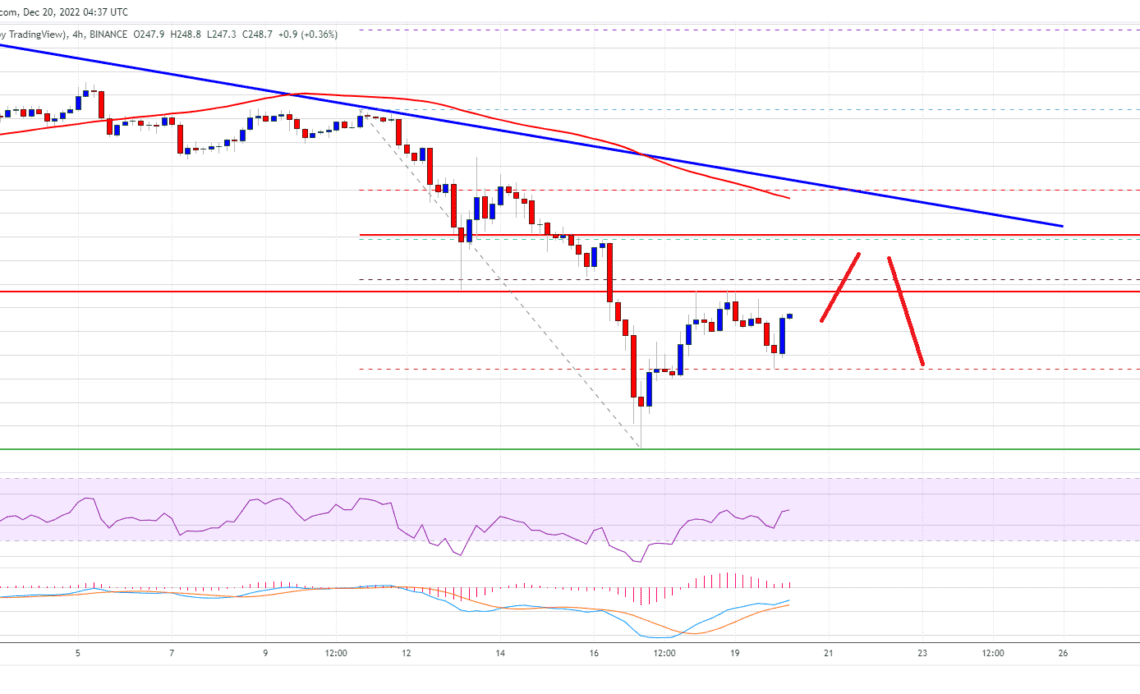 Binance Coin Price BNB