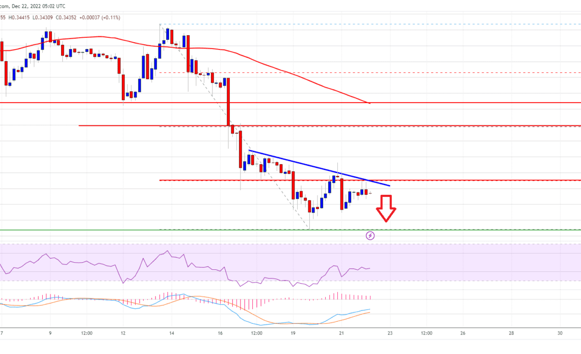 Ripple Price XRP