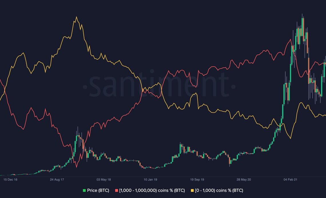 Bitcoin Supply Distribution