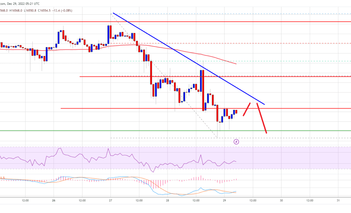 Bitcoin Price