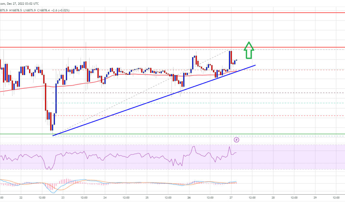 Bitcoin Price