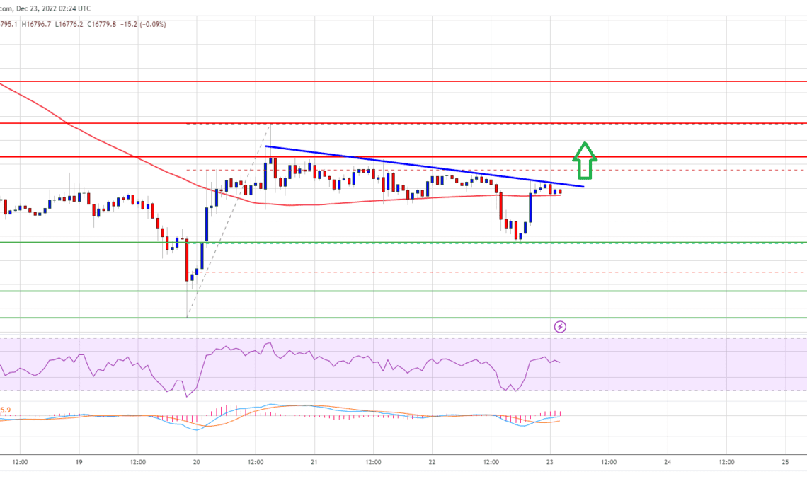 Bitcoin Price