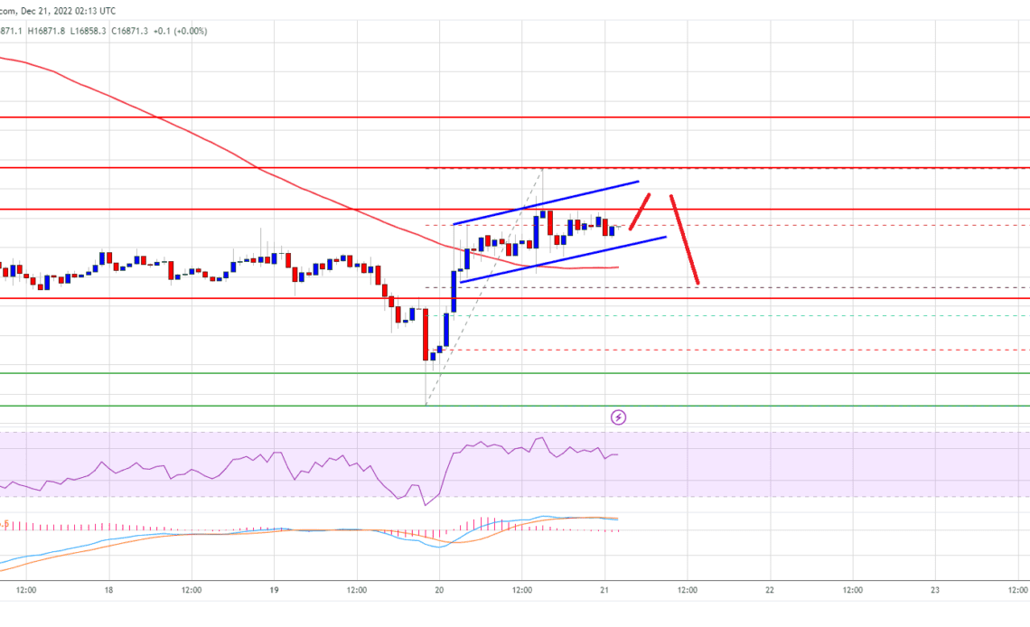 Bitcoin Price