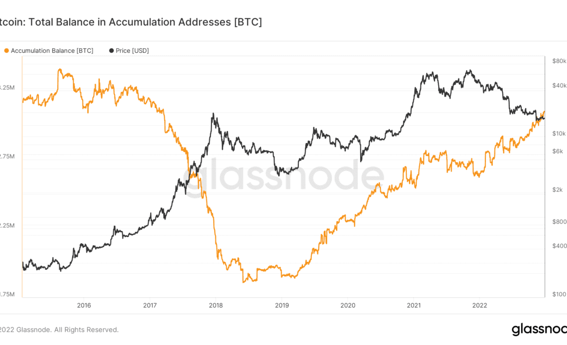 Bitcoin accumulation addresses near record 800K despite whale selling