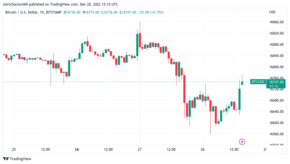 Bitcoin beats Tesla stock in 2022 as BTC price heads for 60% losses