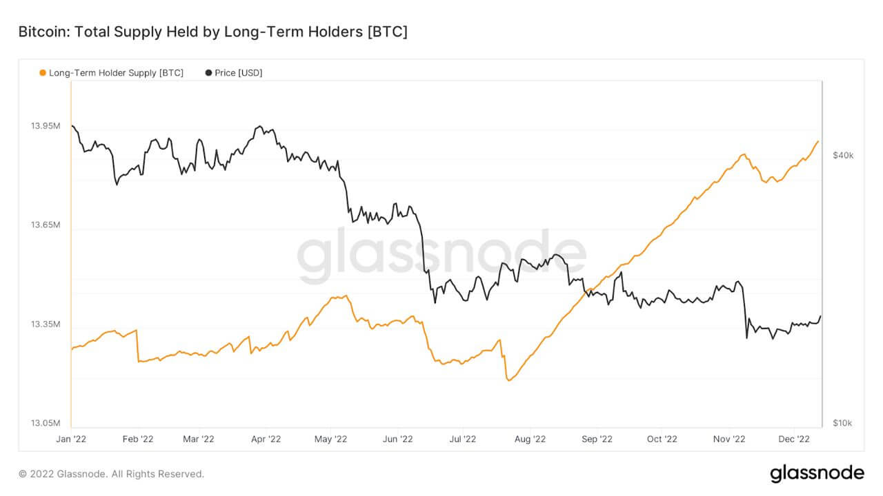 LTH Supply Capitulation