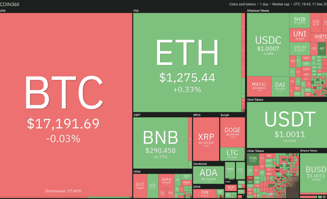 Bitcoin’s boring price action allows XMR, TON, TWT and AXS to gather strength