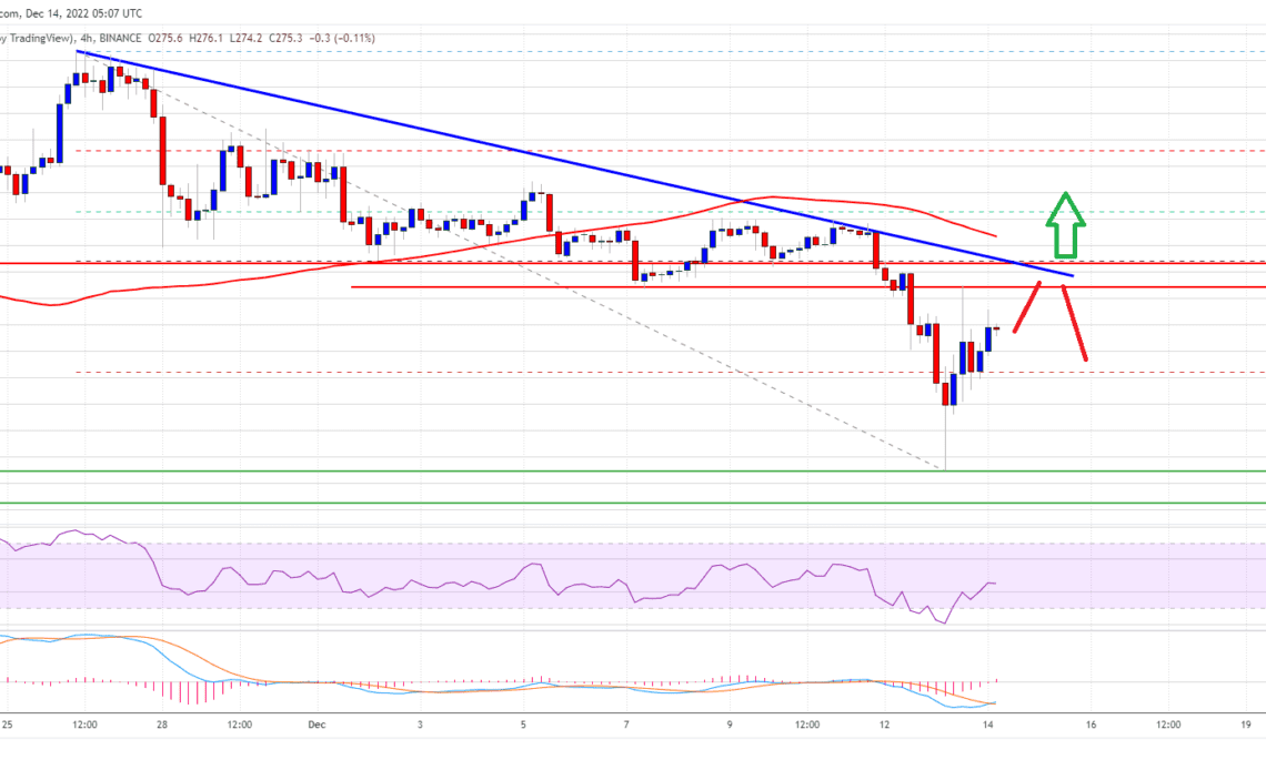 Binance Coin Price BNB