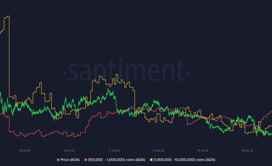 Cardano (ADA) Santiment