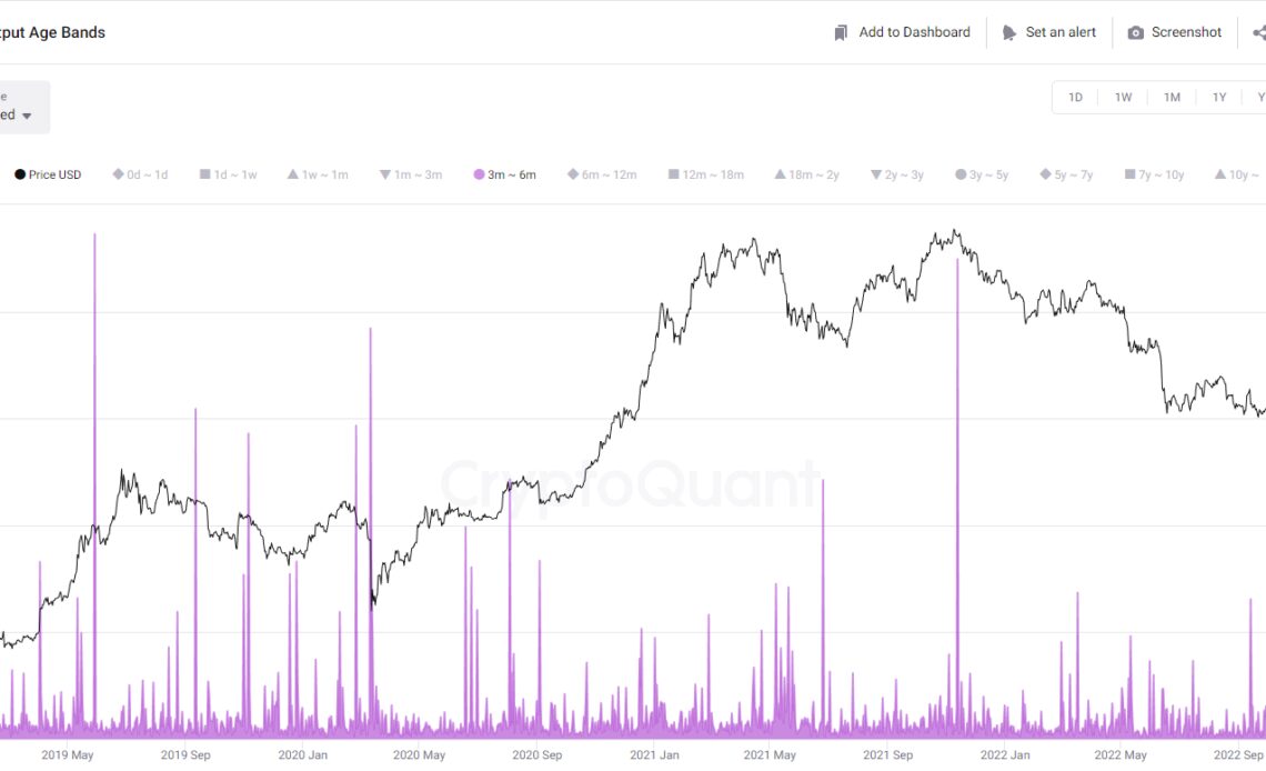 Bitcoin Spent Output Age Bands