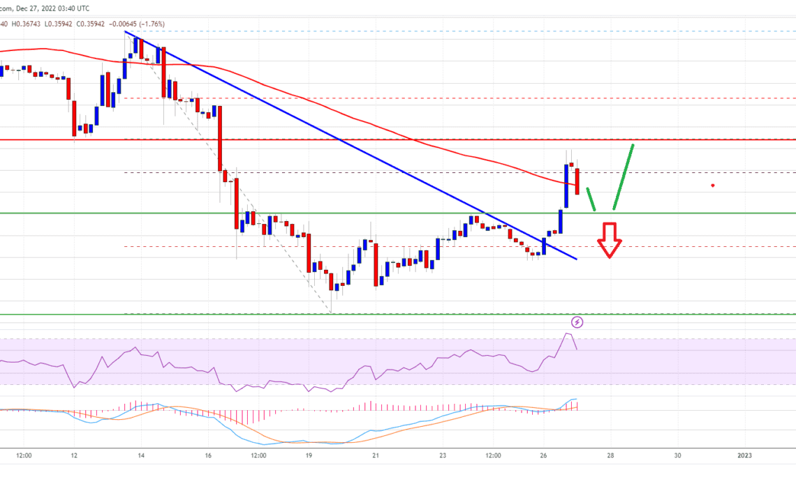 Ripple Price XRP