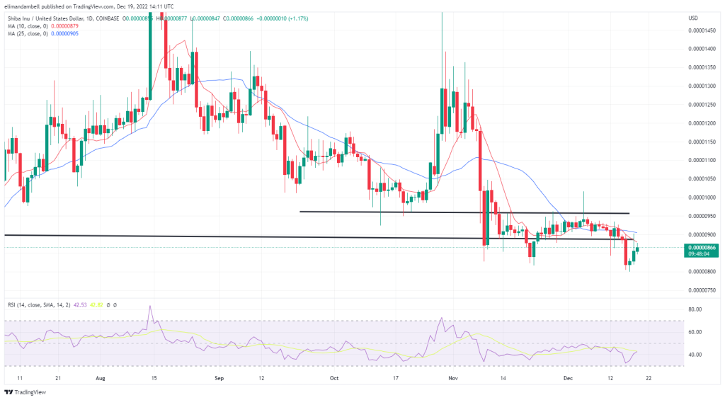 Biggest Movers: SHIB, XMR Extend Recent Gains on Monday