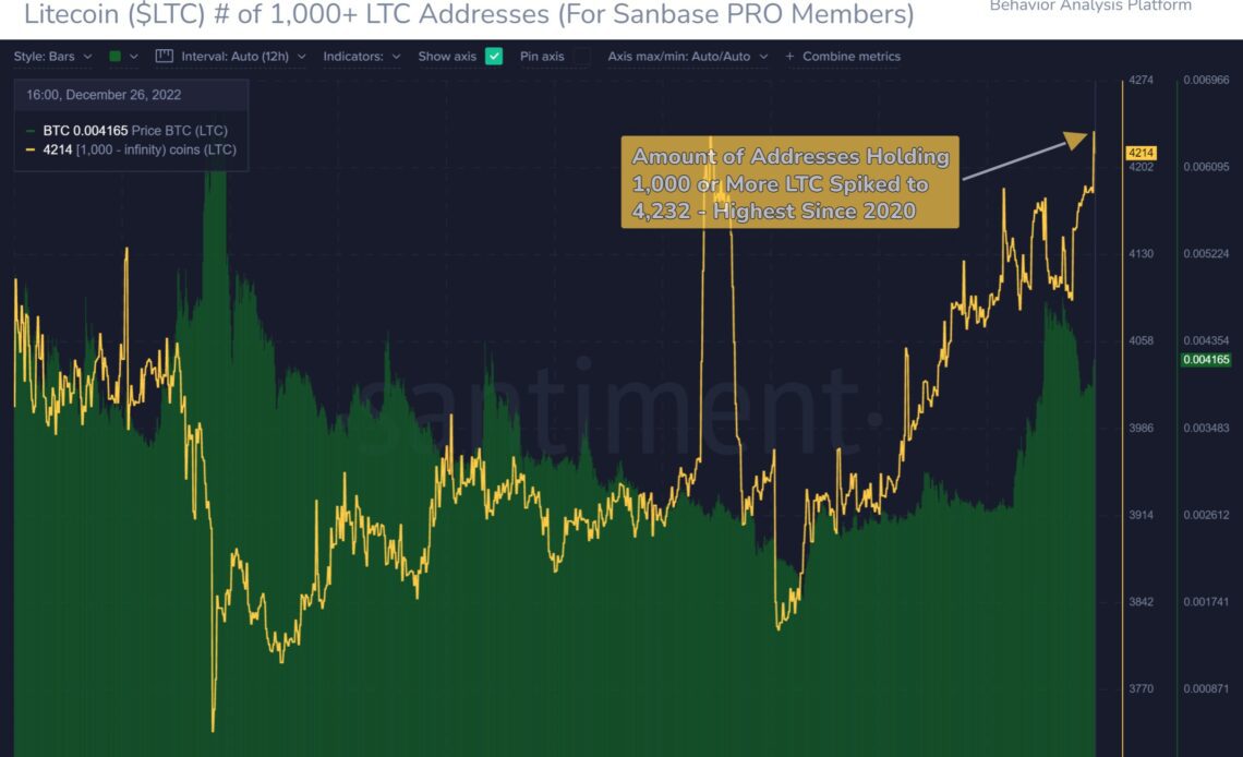 Litecoin Sharks And Whales