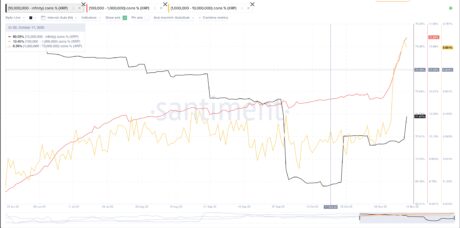 XRP whales